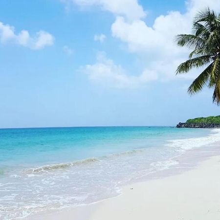 - Les Pieds Dans L'Eau A 50M De La Plage, Cote Mer Caraibe - Domaine De L'Anse Caritan - Sainte-Anne - エクステリア 写真