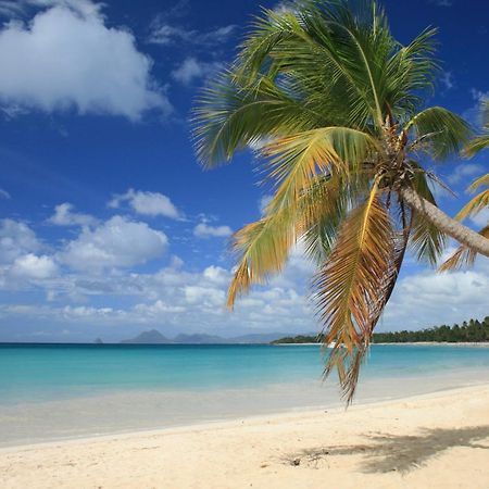 - Les Pieds Dans L'Eau A 50M De La Plage, Cote Mer Caraibe - Domaine De L'Anse Caritan - Sainte-Anne - エクステリア 写真