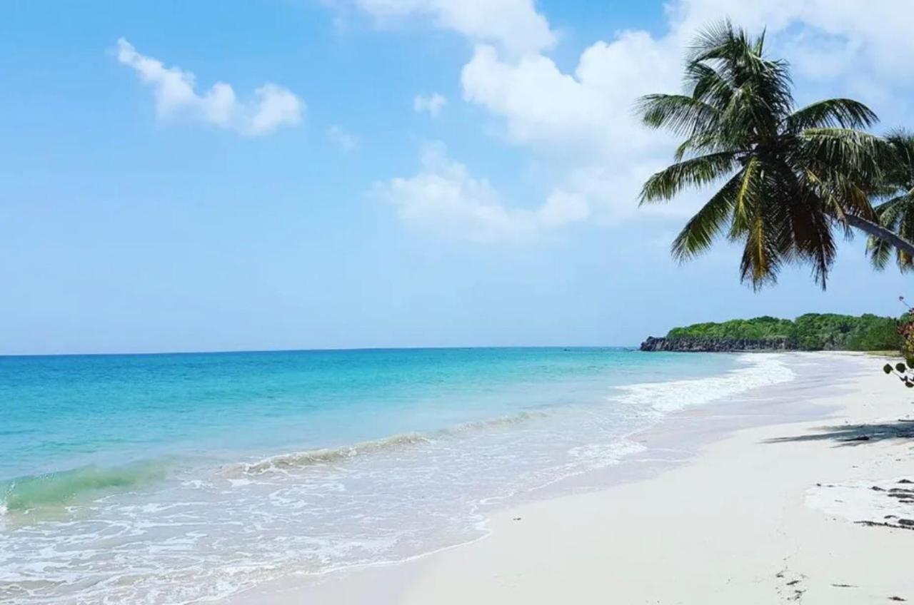 - Les Pieds Dans L'Eau A 50M De La Plage, Cote Mer Caraibe - Domaine De L'Anse Caritan - Sainte-Anne - エクステリア 写真