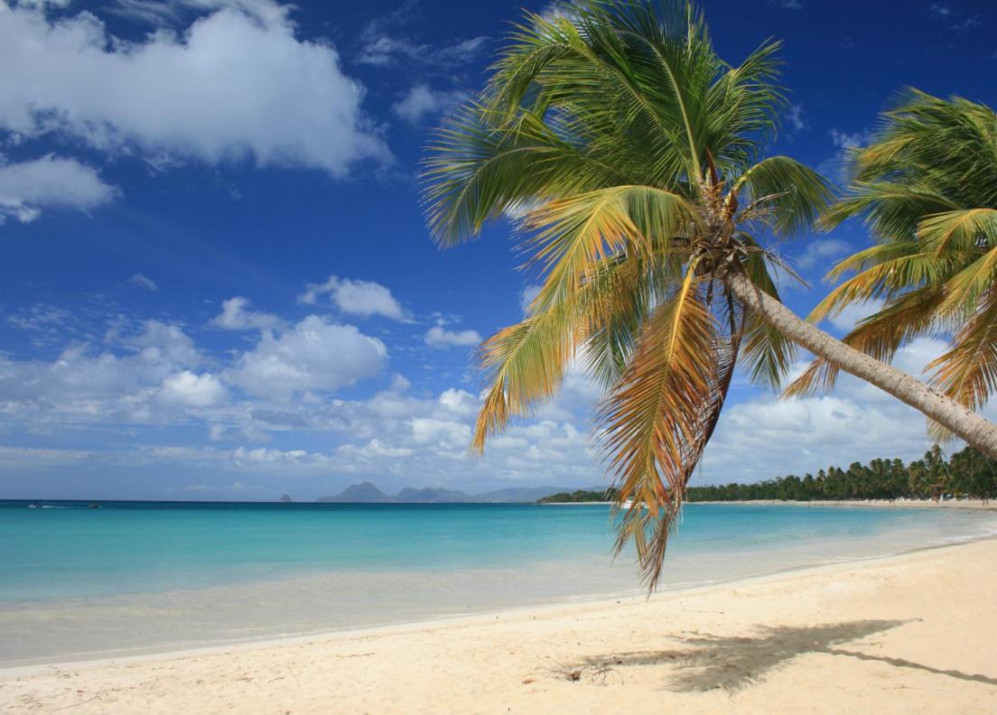 - Les Pieds Dans L'Eau A 50M De La Plage, Cote Mer Caraibe - Domaine De L'Anse Caritan - Sainte-Anne - エクステリア 写真